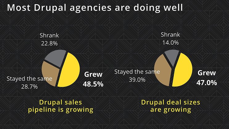 drupal-agency-growth-742x1114